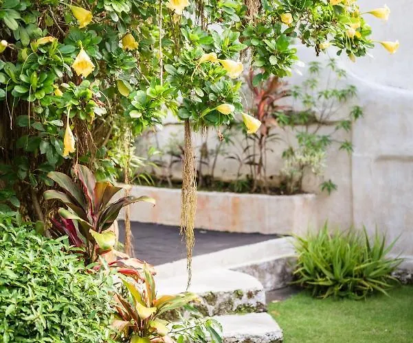 Adany Uluwatu